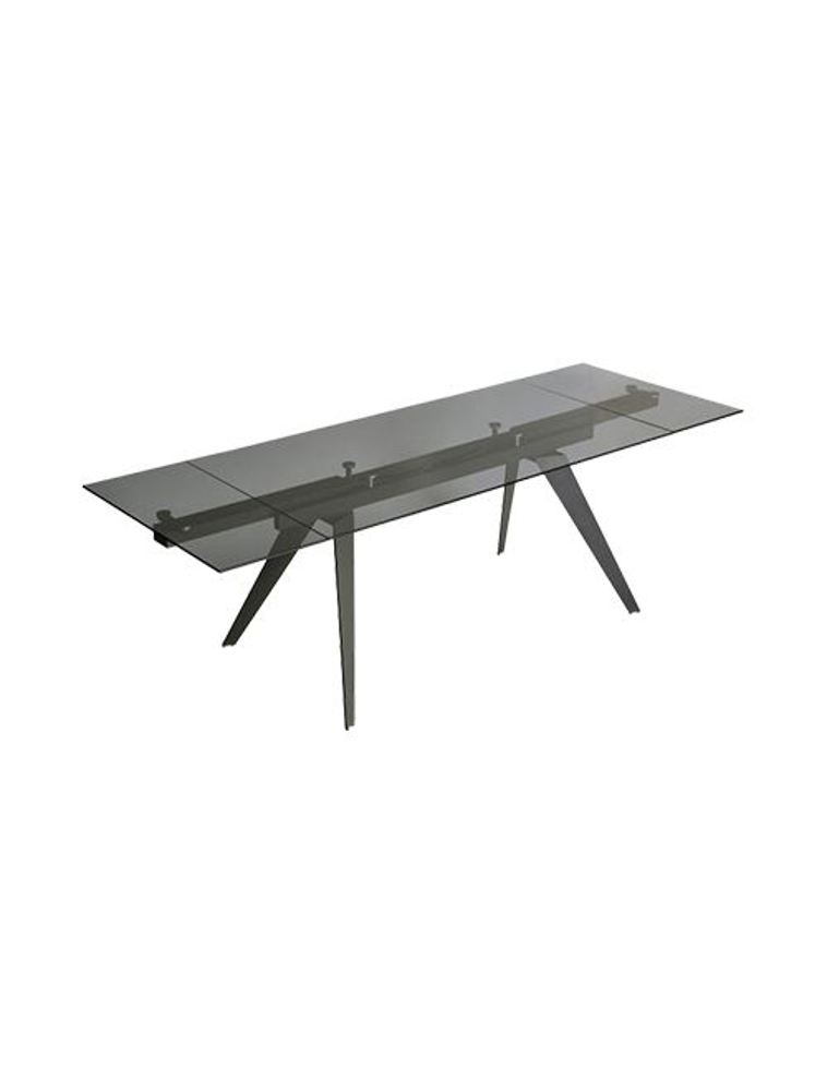 Image sur Table extensible 95"