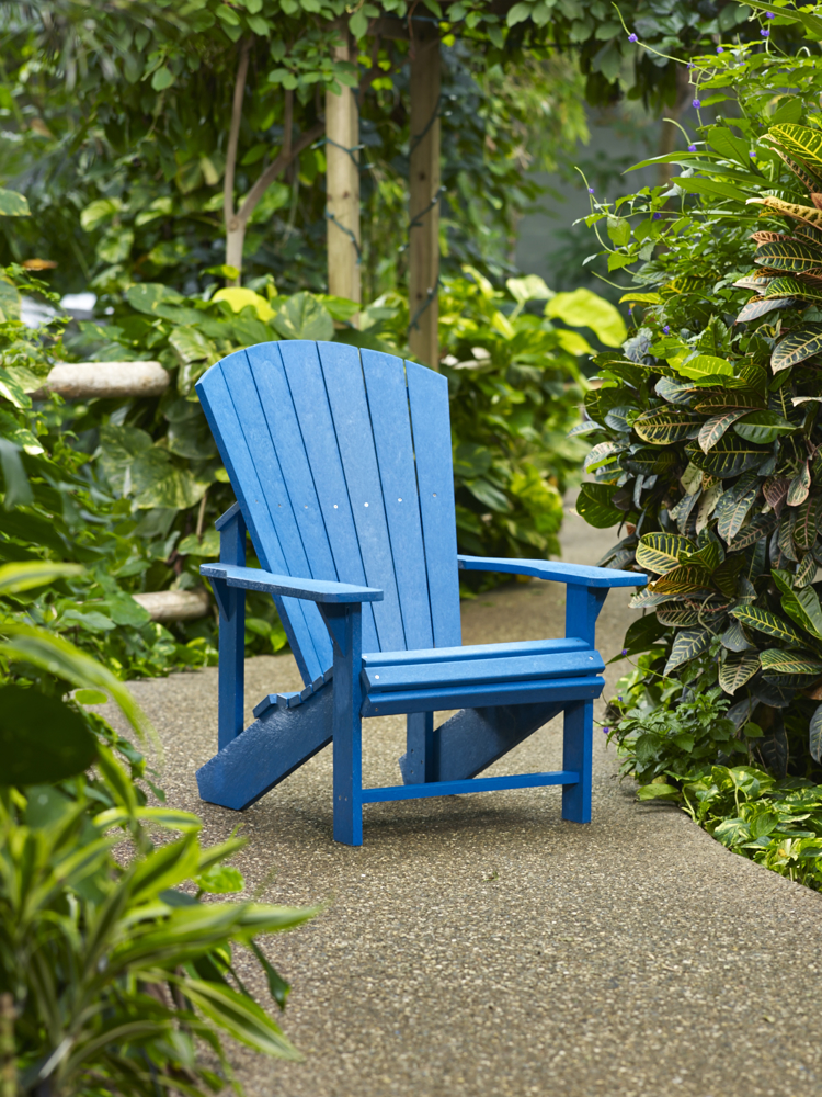 Picture of Classic Adirondack Chair