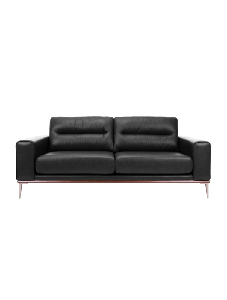 Picture of Stationary condo sofa