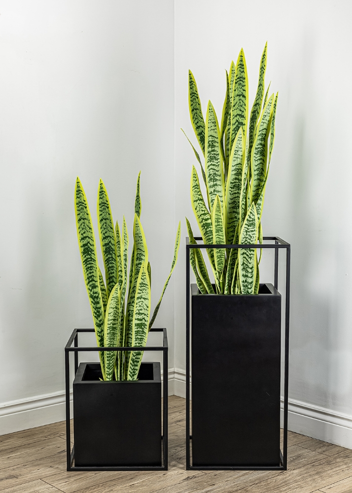 Picture of 42 Inch Artificial Sansevieria Plant