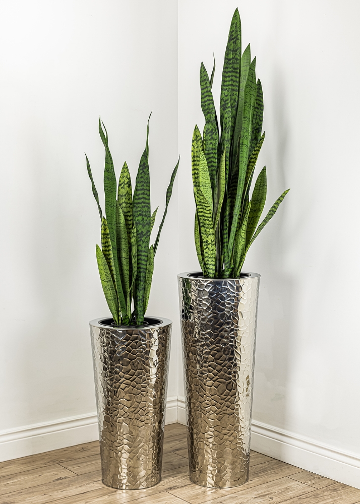 Picture of 52 Inch Artificial Sansevieria Plant