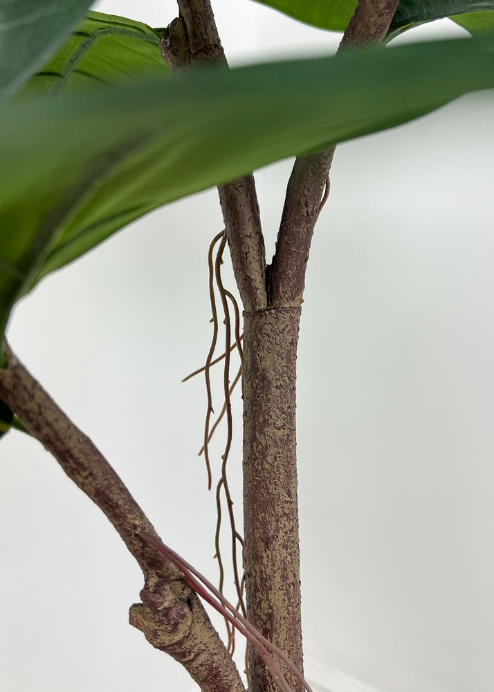 Picture of 48 Inch Artificial Ficus Elastica Plant