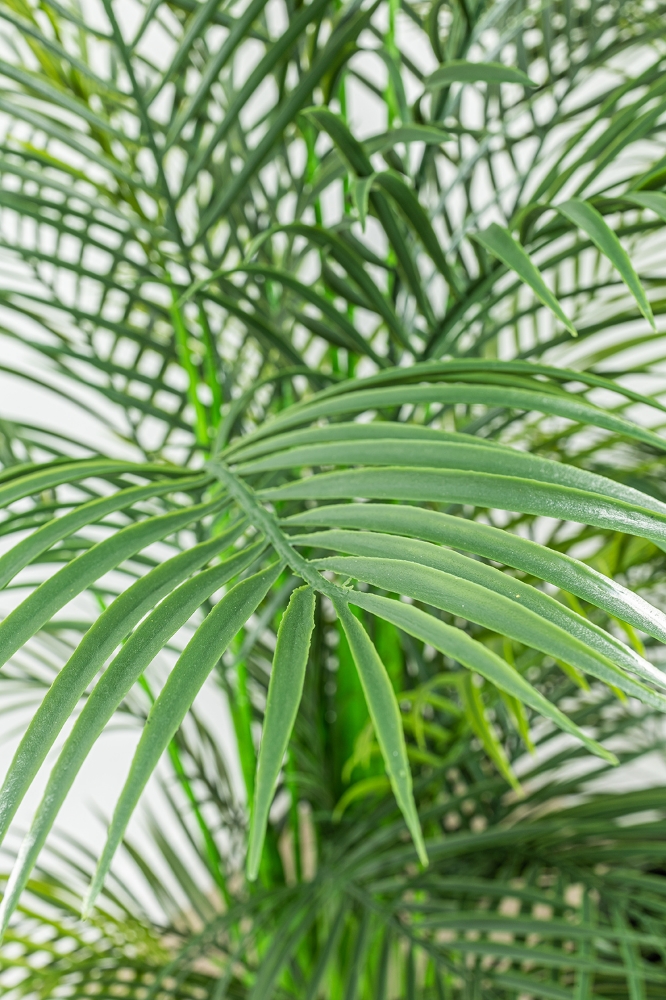 Picture of 72 Inch Artificial Palm Plant