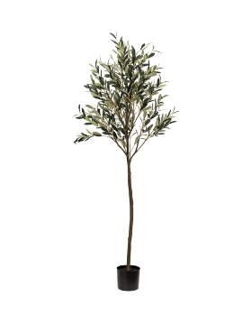 Picture of 72 Inch Artificial Oliver Plant