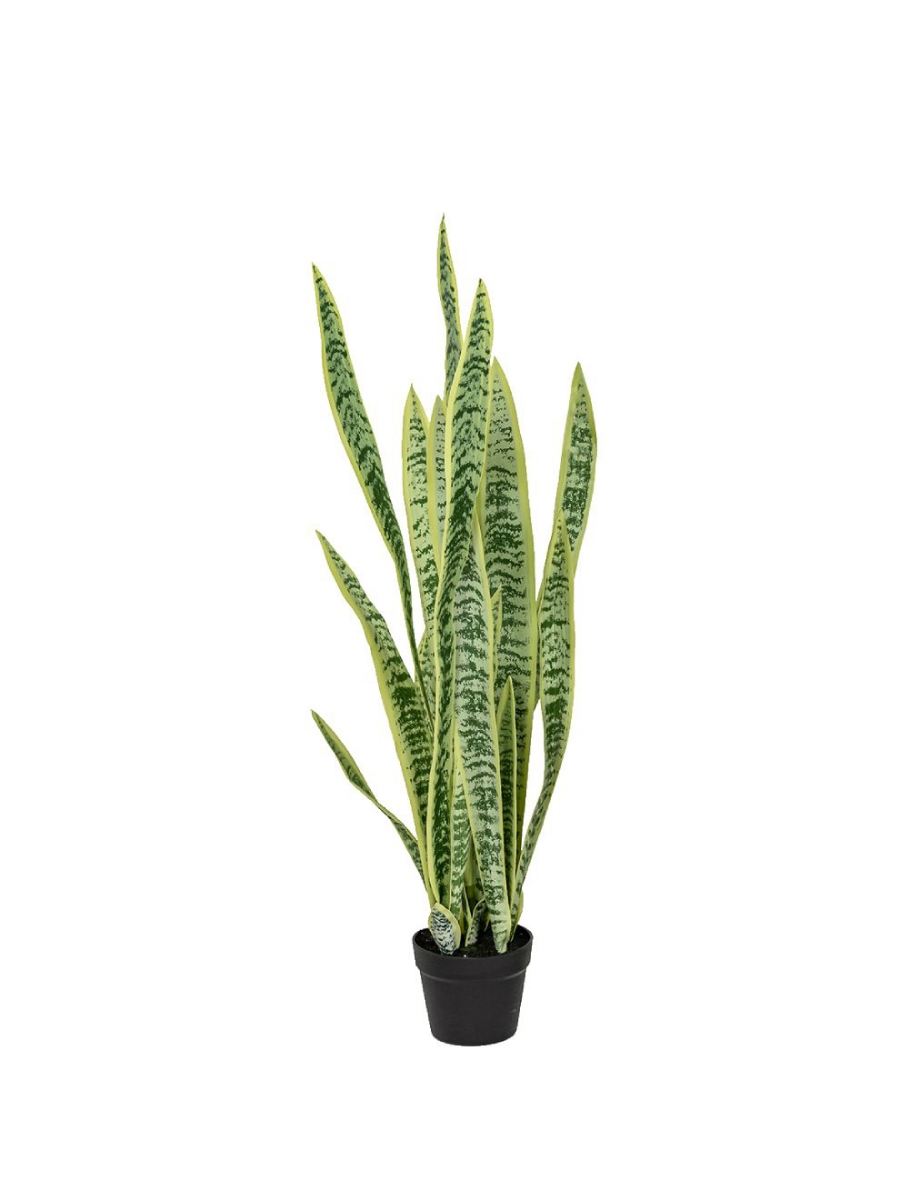 Picture of 42 Inch Artificial Sansevieria Plant