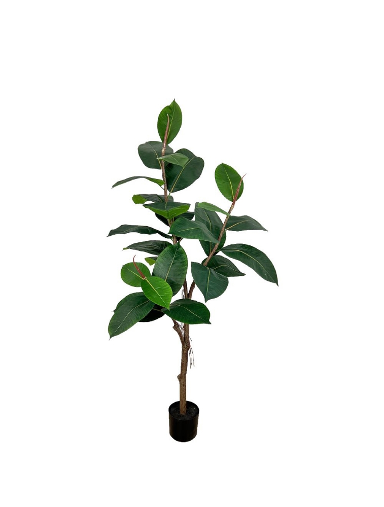 Picture of 48 Inch Artificial Ficus Elastica Plant