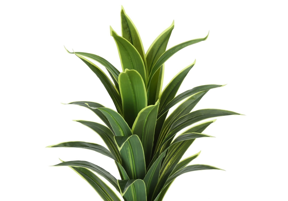 Picture of 47 Inch Artificial Dracaena Plant