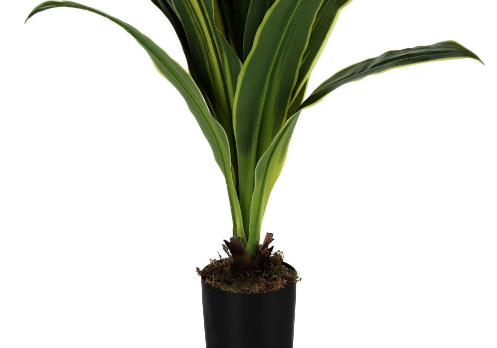 Picture of 47 Inch Artificial Dracaena Plant