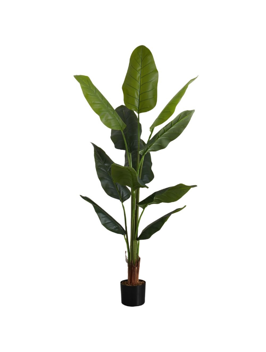 Picture of 59 Inch Artificial Strelitzia Plant