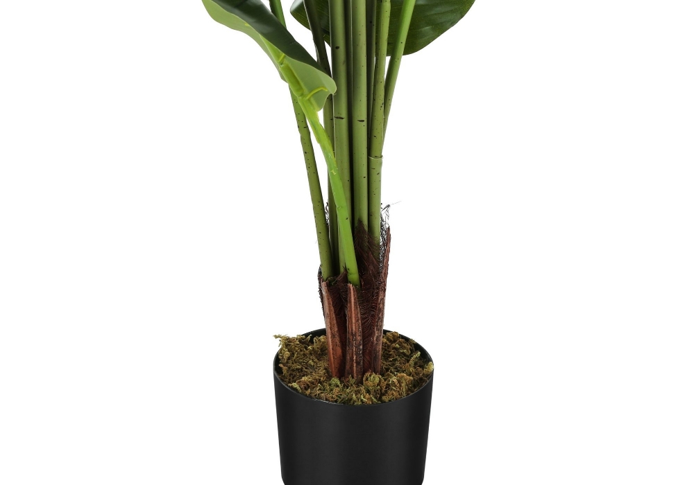 Picture of 59 Inch Artificial Strelitzia Plant