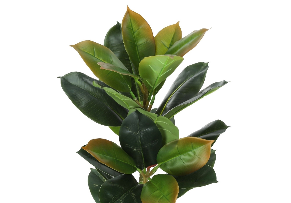 Picture of 40 Inch Artificial Rubber Tree