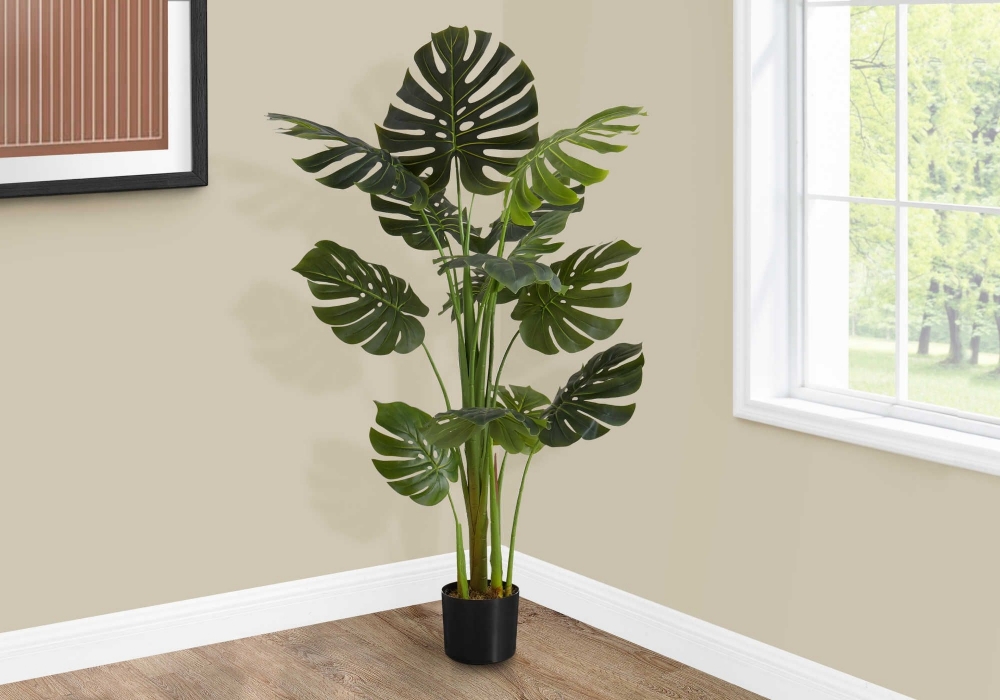 Image sur Monstera 55 po