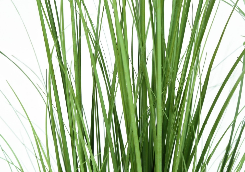 Picture of 47 Inch Artificial Grass Plant