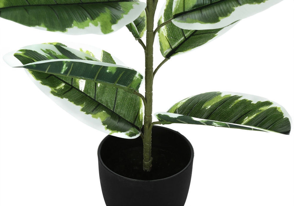 Picture of 27 Inch Artificial Rubber Plant