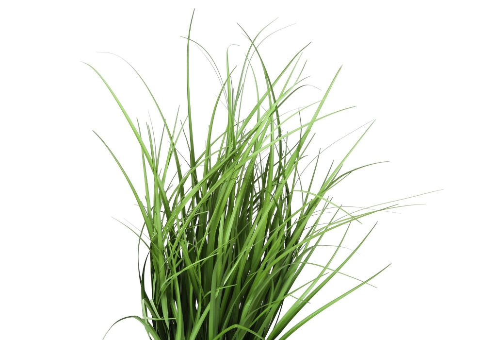 Picture of 23 Inch Artificial Grass Plant