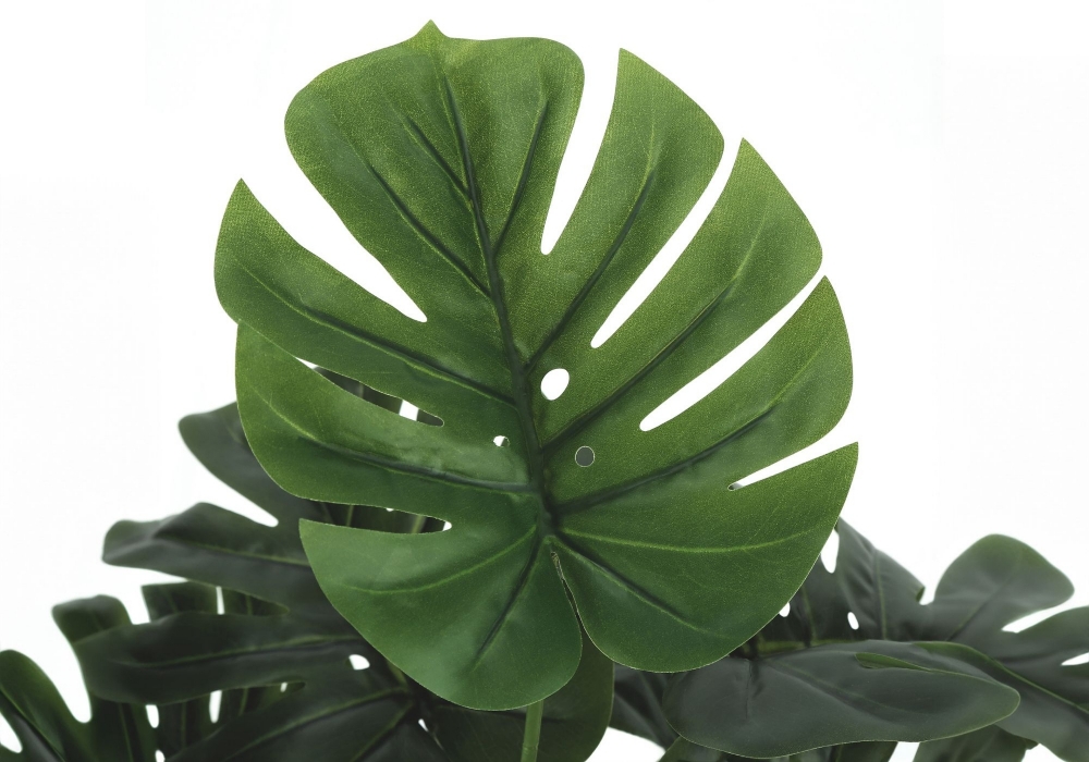 Picture of 24 Inch Artificial Monstera Plant