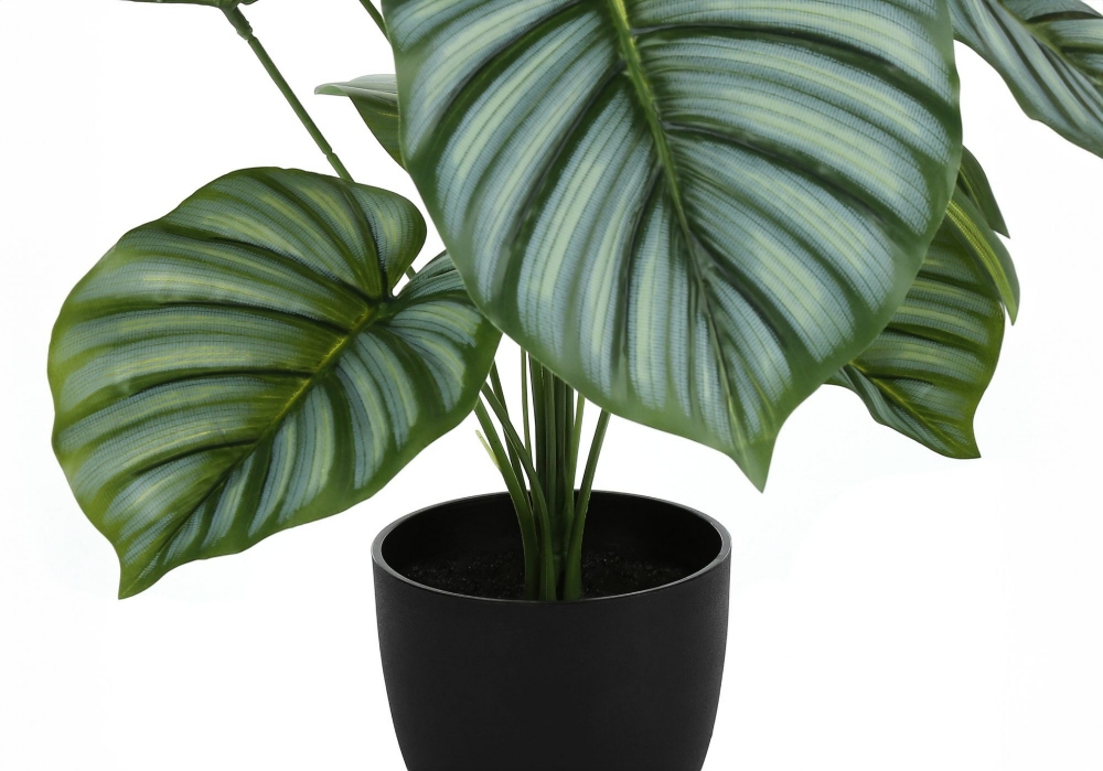 Picture of 24 Inch Artificial Calathea Plant