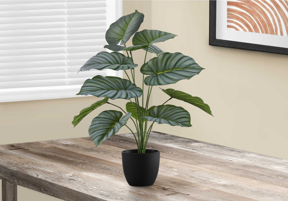 Picture of 24 Inch Artificial Calathea Plant