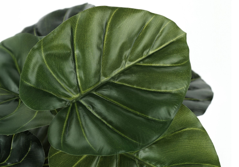 Picture of 24 Inch Artificial Alocasia Plant