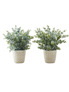 Picture of 13 Inch Set of 2 Artificial Plants