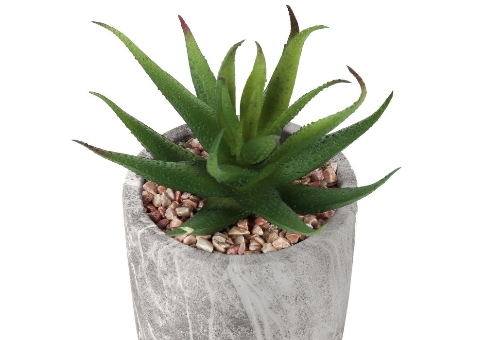 Picture of 7 Inch Set of 2 Artificial Plants