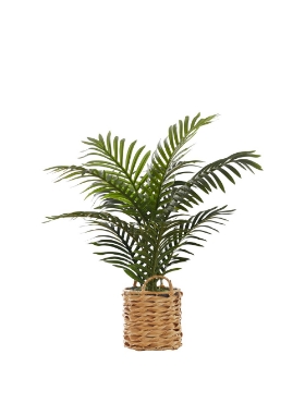 Picture of 24 Inch Artificial Palm Plant