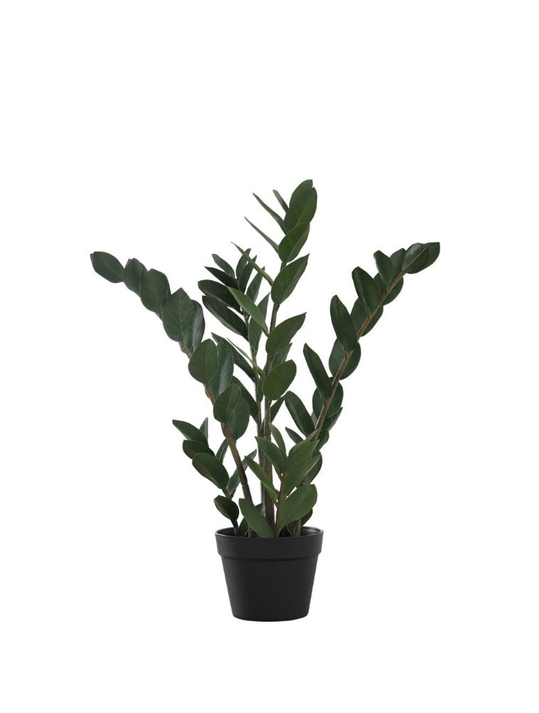 Picture of 29 Inch Artificial Zamioculcas Zamiifolia Plant