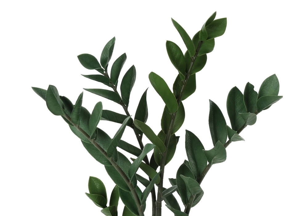 Picture of 29 Inch Artificial Zamioculcas Zamiifolia Plant