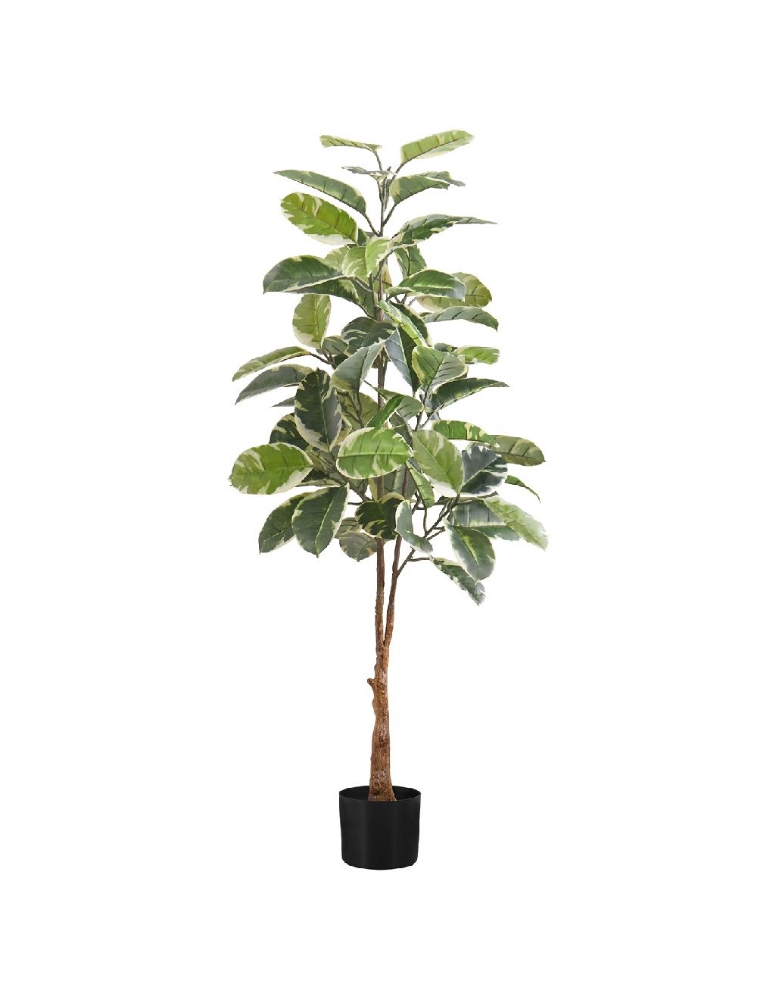 Picture of 52 Inch Artificial Hevea Plant