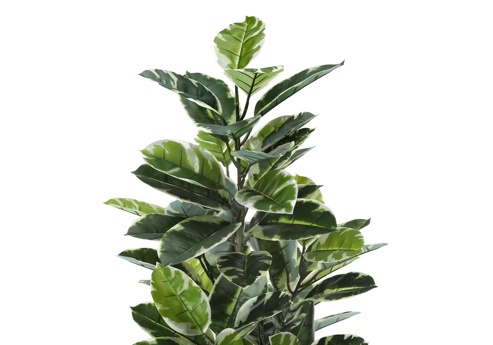 Picture of 52 Inch Artificial Hevea Plant