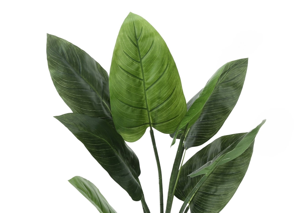 Picture of 37 Inch Artificial Aureum Plant