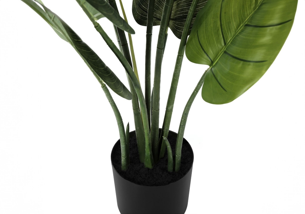 Picture of 37 Inch Artificial Aureum Plant