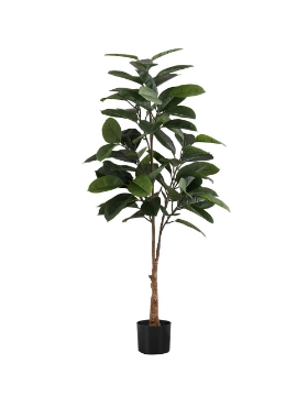 Picture of 52 Inch Artificial Hevea Plant