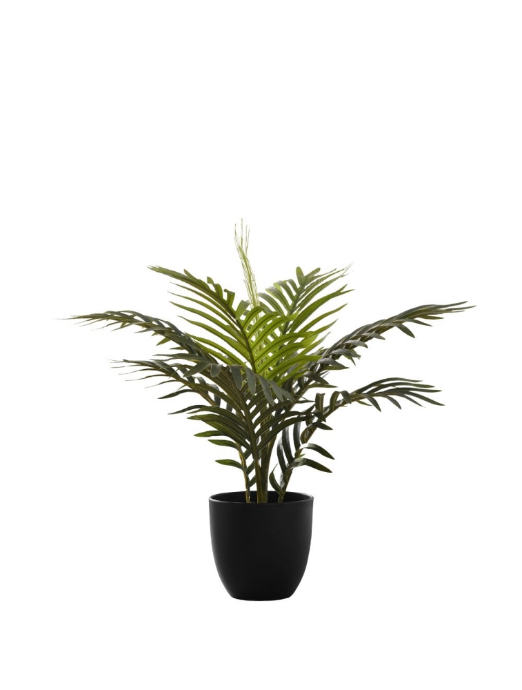 Picture of 20 Inch Artificial Palm Plant