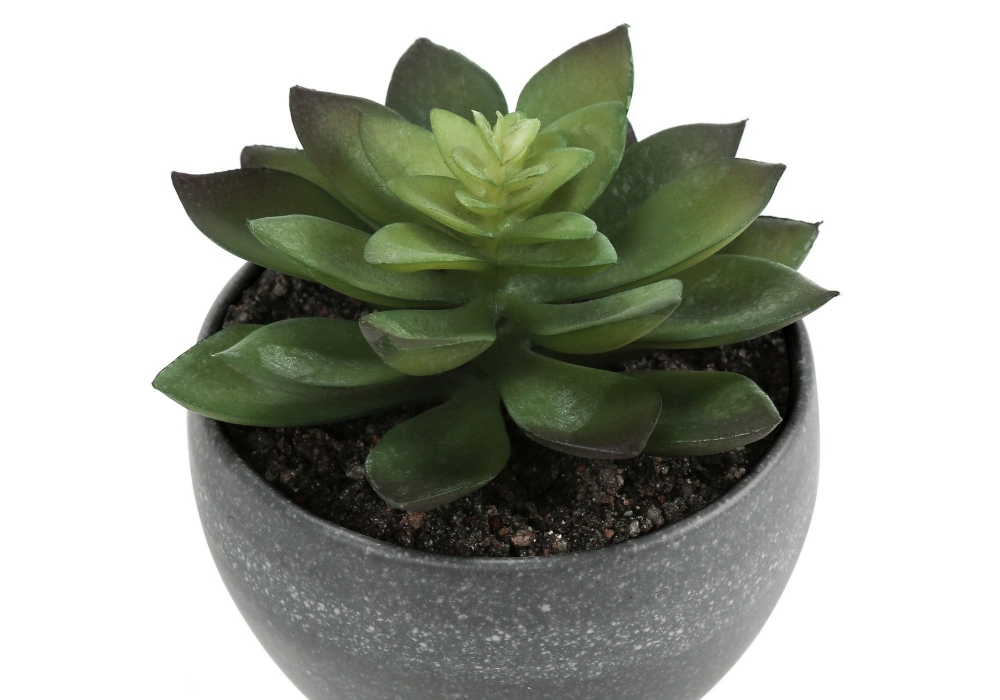 Picture of 6 Inch Set of 3 Artificial Plants