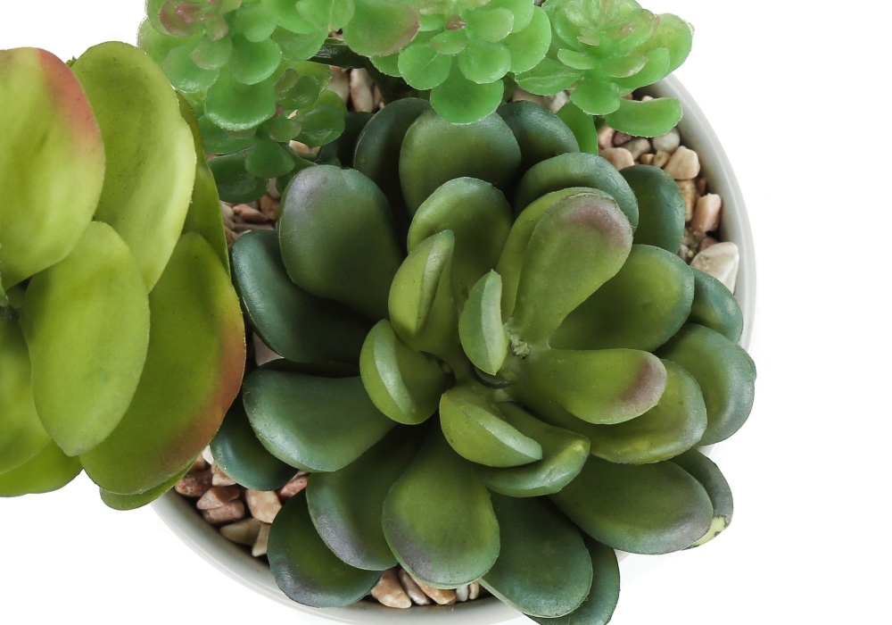 Picture of 7 Inch Set of 2 Artificial Plants