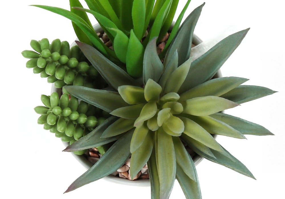 Picture of 7 Inch Set of 2 Artificial Plants