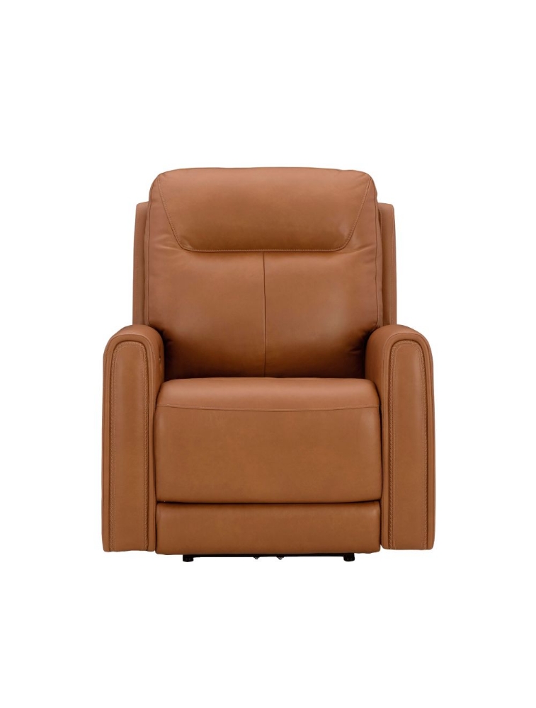 Picture of Power Recliner